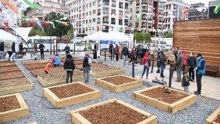 Kadıköy’de Bostanlar Çoğalıyor! Şimdi Acıbadem ve Göztepe’de