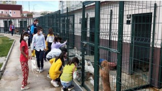 Sincan Belediyesi Hayvan Barınağına Sokak Hayvanları Günü’nde Yoğun İlgi