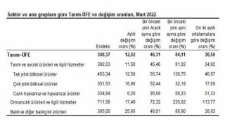 Tarım ürünleri üretici fiyat endeksi (Tarım-ÜFE) yıllık 84,11, aylık 12,02 arttı