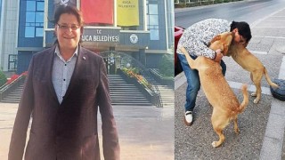 AK Partili İnce’den sokak köpekleri çıkışı