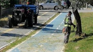 Edremit’te Yeşil Alanlara Bahar Bakımı