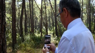 Çevre Dostu Belediye: Kemer Belediyesi