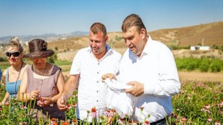 Mis kokulu şenlikte 2 hasat birden!