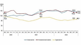 Güven endeksi hizmet ve perakende ticaret sektörlerinde düşerken inşaat sektöründe yükseldi