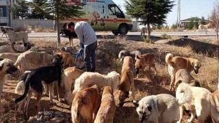 Şefkatli Ellerde Besleniyorlar