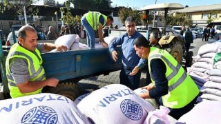 Atalık karakılçık buğdayı bir avuçtan 11 bin dönüme çıkıyor