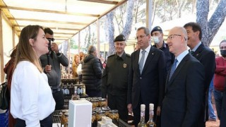 Ayvalık 17. Uluslararası Zeytin Hasat Festivali Programı Yine Dopdolu