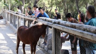 Hayvanat Bahçesi özel öğrencileri ağırladı