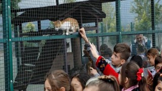 İnegöl Belediyesi Barınağı Can Dostlarına Şifa Oluyor