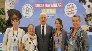 Muğla Büyükşehir Belediyesi candostlar için “Sokak Hayvanları Çalıştayı” düzenledi.