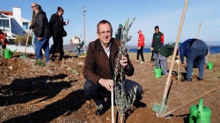 Ayvalık Belediye Başkanı Mesut Ergin: Düzya Zeytin Ağacı Günü Kutlu Olsun