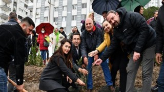 Çiğli’de 346 Kadın için Zeytin Fidanları Toprakla Buluşturuldu