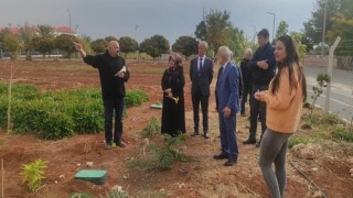 Harran Üniversitesi Dünyanın En Değerli Baharatını Şanlıurfa’ya Yeniden Kazandırdı