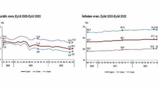 Mevsim etkisinden arındırılmış işsizlik oranı yüzde 10,1 seviyesinde gerçekleşti