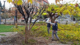 Burhaniye Merkezde Parklar Yenileniyor