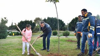 Çukurova&#39;da turunç seferberliği