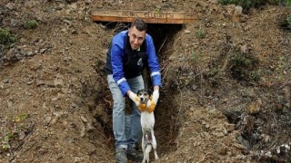 E-Devlet Üzerinden Hayvan Sahiplenme İşlemi Başladı