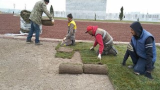 Şehit Öğretmenler Anıtı Yeşeriyor