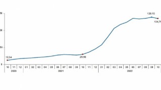 TÜİK Tarımsal girdi fiyat endeksi (Tarım-GFE) yıllık %134,76, aylık %2,68 arttı