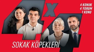 4x4, Sokak Köpekleri Meselesini Masaya Yatırıyor