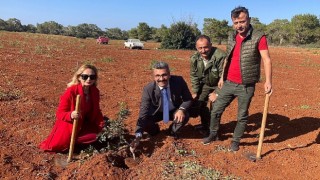 Çeşme Sakızının Kıbrıs a Yolculuğu