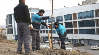 Nilüfer&#39;de ağaçlandırma çalışmaları başladı