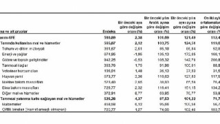 Tarımsal girdi fiyat endeksi (Tarım-GFE) yıllık %121,49, aylık %2,38 arttı