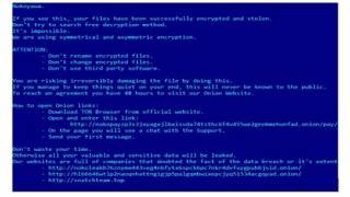 Microsoft Windowstaki sıfır gün açığı Nokoyawa fidye yazılımı saldırılarında kullanıldı