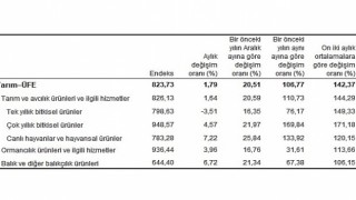 TÜİK: Tarım ürünleri üretici fiyat endeksi (Tarım-ÜFE) yıllık %106,77, aylık %1,79 arttı