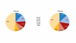 TÜİK: Yurt dışından Türkiyeye 340 bin 845 kişi göç etti