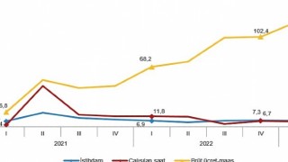 İstihdam endeksi yıllık %7,0 arttı