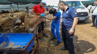 Buca Belediyesinde Kurban Bayramı mesaisi