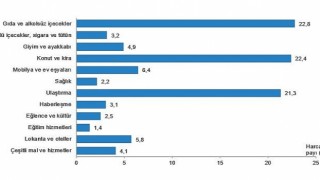 Hanehalkı bütçesinden en fazla pay gıda ve alkolsüz içecek harcamasına ayrıldı