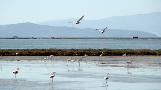 Kuş Cennetine anjiyo: 40 km yatak temizlenecek