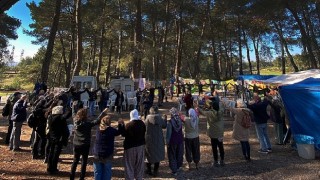 Akbelen Ormanının korunması için sivil toplum kuruluşlarından ortak çağrı!