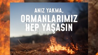 Bir kıvılcım geleceğimizi yakmasın, ormanlarımız hep yaşasın!