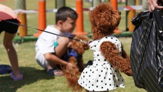 Çeşmeli can dostlar Fest Patide buluştu