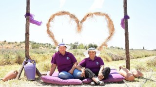 Didimin Mis Kokulu Lavanta Festivaline sayılı günler kaldı