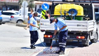 İklim krizi sivrisinek popülasyonunu artırdı