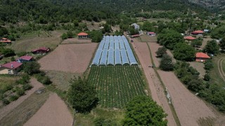 Muğla Büyükşehir Belediyesi destekleriyle Migrosta çilek satışına başlayan üreticiler Köyceğizin yaylalarında yetişen ürünleri vatandaşla buluşturmanın mutluluğunu yaşıyor.