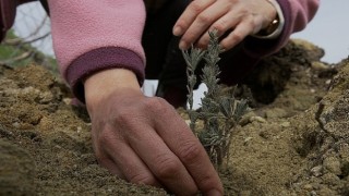 TOÇEV, Payam Ekolojik Badem Köyü Projesine destek bekliyor