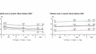 TÜİK: İşgücü İstatistikleri, II. Çeyrek: Nisan - Haziran, 2023