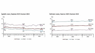 TÜİK: Mevsim etkisinden arındırılmış işsizlik oranı %9,6 seviyesinde gerçekleşti