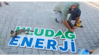 Uludağ Enerji, Hatay Kampüsünde Sokak Hayvanlarını Yalnız Bırakmadı