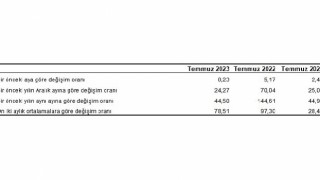 Yurt İçi Üretici Fiyat Endeksi (Yİ-ÜFE) yıllık yüzde 44,50, aylık yüzde 8,23 arttı