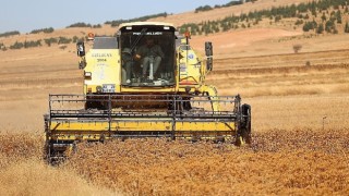 Büyükşehir Destekliyor, Konyalı Çiftçinin Yüzü Gülüyor