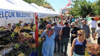 ”Efes Selçuk Gökçealanda Üzüm Şenliği Var”