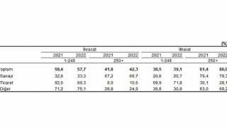 İhracatın yüzde 42,ünü, ithalatın ise yüzde 60,unu büyük ölçekli girişimler gerçekleştirdi