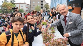 Bayrampaşada okullar begonya ile renklendi