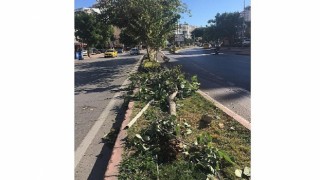 Antalya Büyükşehir ekiplerinin fırtına mesaisi